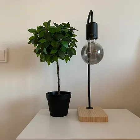 Cosy At The Center Apartment Oulu